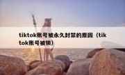 tiktok账号被永久封禁的原因（tiktok账号被锁）