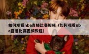 如何观看nba直播比赛视频（如何观看nba直播比赛视频教程）
