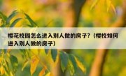 樱花校园怎么进入别人做的房子?（樱校如何进入别人做的房子）