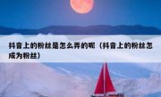 抖音上的粉丝是怎么弄的呢（抖音上的粉丝怎成为粉丝）