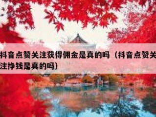 抖音点赞关注获得佣金是真的吗（抖音点赞关注挣钱是真的吗）