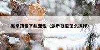 派币钱包下载流程（派币钱包怎么操作）
