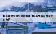 抖音获赞平台分享在哪里（抖音主页获赞是怎么来的）