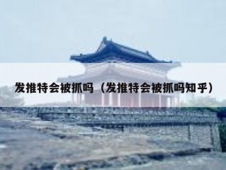 发推特会被抓吗（发推特会被抓吗知乎）
