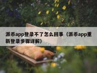派币app登录不了怎么回事（派币app重新登录步骤详解）