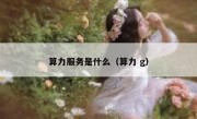 算力服务是什么（算力 g）
