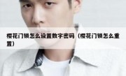 樱花门锁怎么设置数字密码（樱花门锁怎么重置）