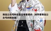 微信公众号粉丝量在哪里看的（如何看微信公众号的粉丝量）
