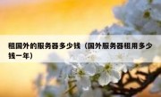租国外的服务器多少钱（国外服务器租用多少钱一年）