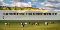 抖音粉丝群的好处（抖音粉丝群的好处和坏处）