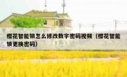 樱花智能锁怎么修改数字密码视频（樱花智能锁更换密码）