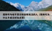 视频号为啥不显示粉丝和关注的人（视频号为什么不显示好友点赞）