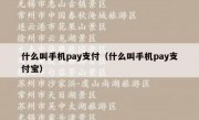 什么叫手机pay支付（什么叫手机pay支付宝）