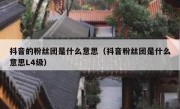 抖音的粉丝团是什么意思（抖音粉丝团是什么意思L4级）