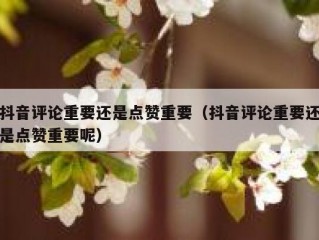 抖音评论重要还是点赞重要(抖音评论重要还是点赞重要呢)