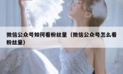 微信公众号如何看粉丝量（微信公众号怎么看粉丝量）