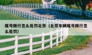 尾号限行怎么处罚北京（北京车辆尾号限行怎么处罚）