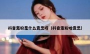 抖音涨粉是什么意思呀（抖音涨粉啥意思）