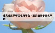 速卖通属于哪类电商平台（速卖通属于什么平台）