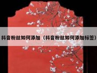 抖音粉丝如何添加（抖音粉丝如何添加标签）