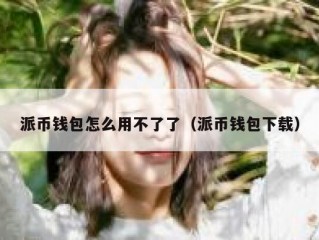派币钱包怎么用不了了（派币钱包下载）