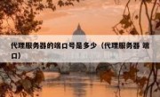 代理服务器的端口号是多少（代理服务器 端口）