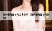 国产服务器芯片上市公司（国产服务器芯片架构）