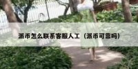 派币怎么联系客服人工（派币可靠吗）