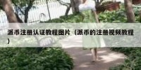 派币注册认证教程图片（派币的注册视频教程）