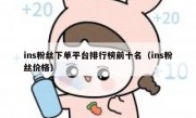 ins粉丝下单平台排行榜前十名（ins粉丝价格）
