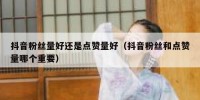 抖音粉丝量好还是点赞量好（抖音粉丝和点赞量哪个重要）