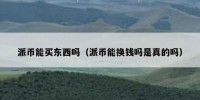 派币能买东西吗（派币能换钱吗是真的吗）
