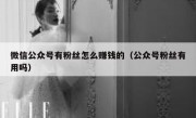 微信公众号有粉丝怎么赚钱的（公众号粉丝有用吗）