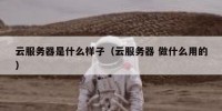云服务器是什么样子（云服务器 做什么用的）