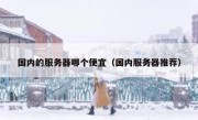 国内的服务器哪个便宜（国内服务器推荐）