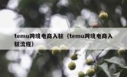 temu跨境电商入驻（temu跨境电商入驻流程）