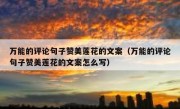 万能的评论句子赞美莲花的文案（万能的评论句子赞美莲花的文案怎么写）