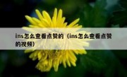 ins怎么查看点赞的（ins怎么查看点赞的视频）