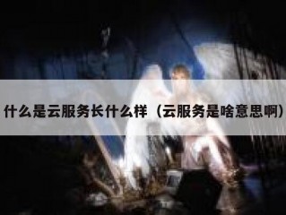 什么是云服务长什么样（云服务是啥意思啊）