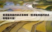 香港服务器的缺点有哪些（香港服务器的缺点有哪些方面）