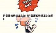 抖音里的粉丝怎么加（抖音里的粉丝怎么加的）