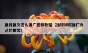 推特推文怎么推广视频教程（推特如何推广自己的推文）