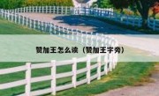 赞加王怎么读（赞加王字旁）