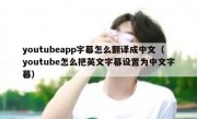 youtubeapp字幕怎么翻译成中文（youtube怎么把英文字幕设置为中文字幕）