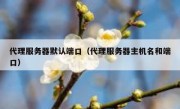 代理服务器默认端口（代理服务器主机名和端口）