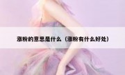 涨粉的意思是什么（涨粉有什么好处）