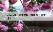 check是什么意思呀（CHECK什么意思）