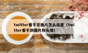 twitter看不见图片怎么设置（twitter看不到图片和头像）