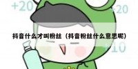 抖音什么才叫粉丝（抖音粉丝什么意思呢）