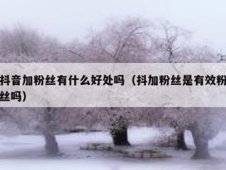 抖音加粉丝有什么好处吗（抖加粉丝是有效粉丝吗）